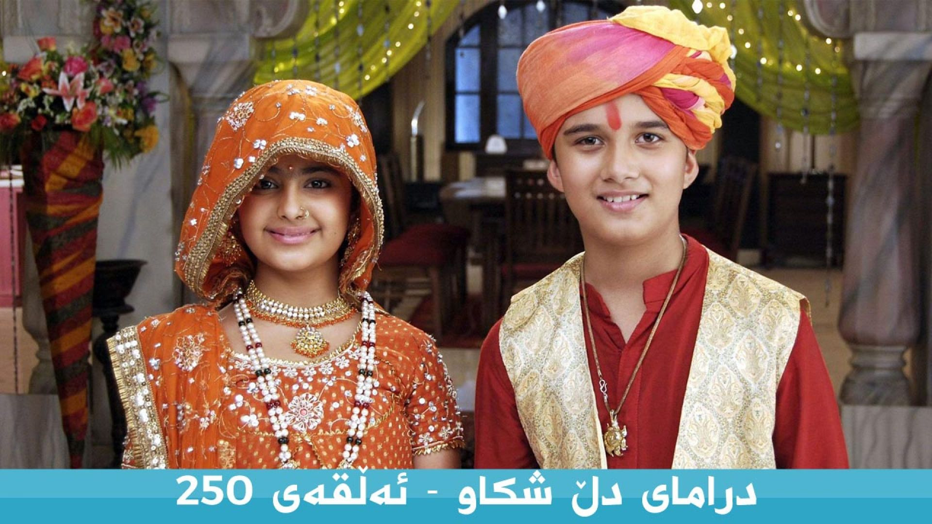 Dll Shkaw 250